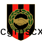 戴(dai)戈福斯(si)U21