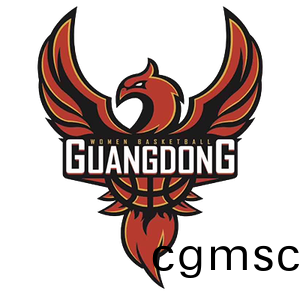 東(dong)莞(guan)新彤(tong)盛女籃