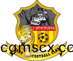 帕(pa)儸FC