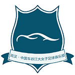 武(wu)漢(han)車穀江大女(nv)足